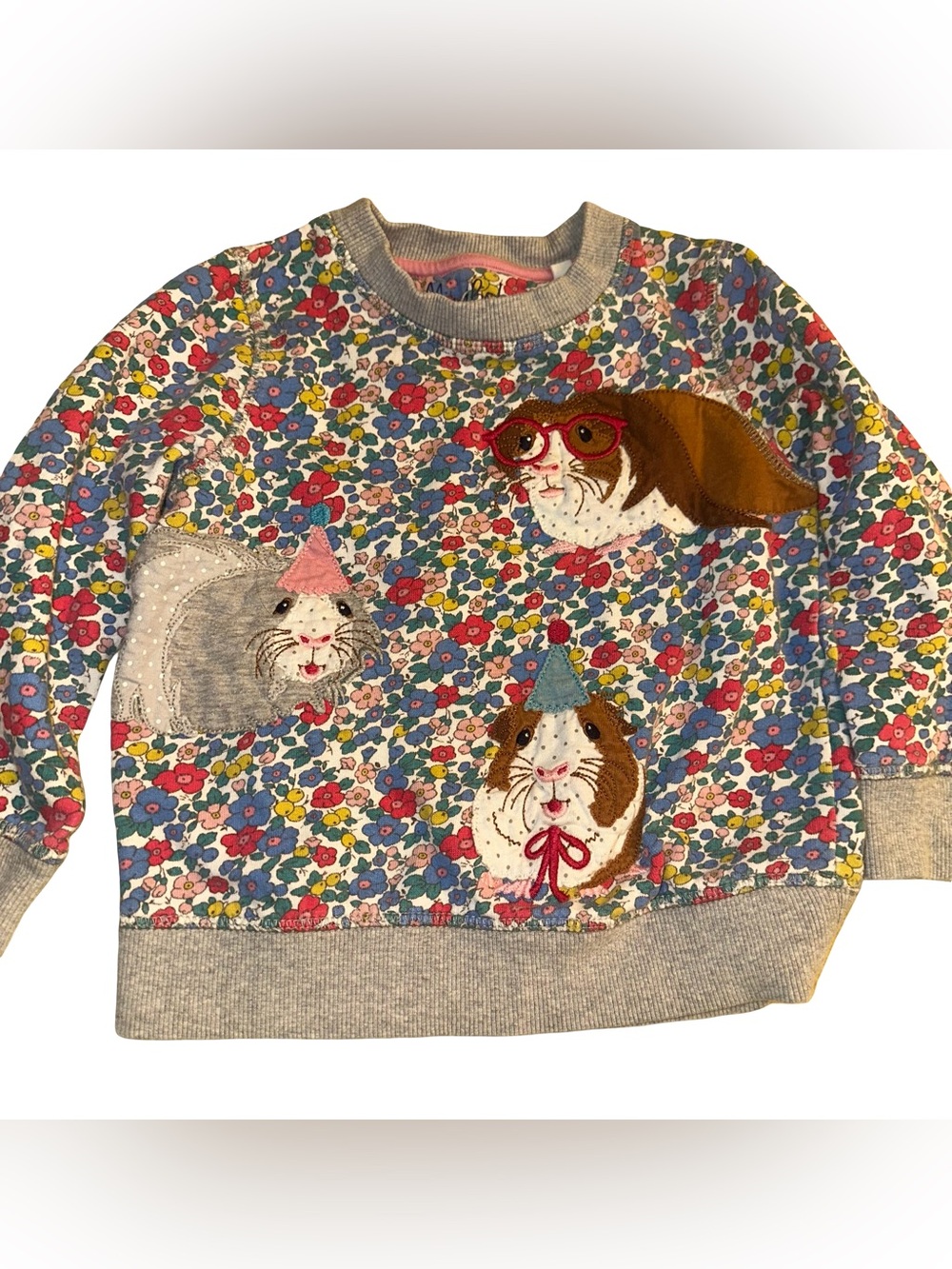 Mini Boden  3-4 yr floral Guinea pig sweatshirt